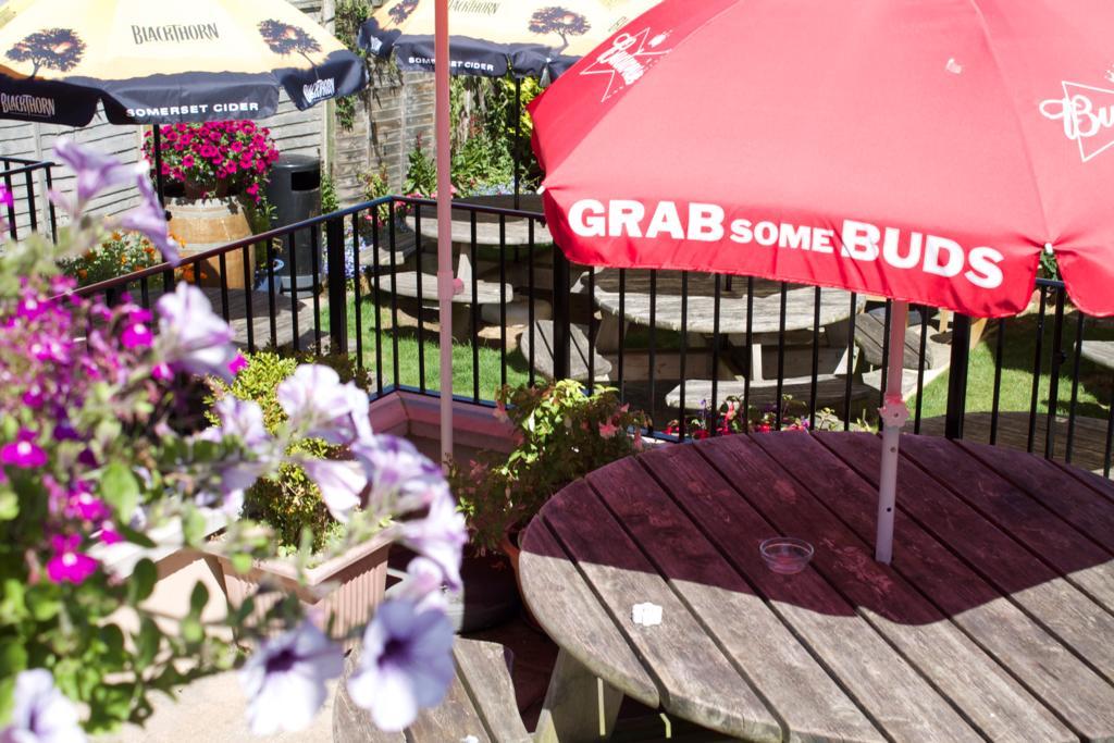 The Pilot Inn Eastbourne Zewnętrze zdjęcie